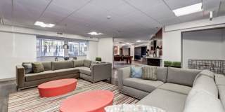 The Mark Alexandria Gallery 33