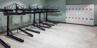 Multnomah Village Gallery 20