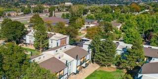 ReNew Pinehurst Gallery 44