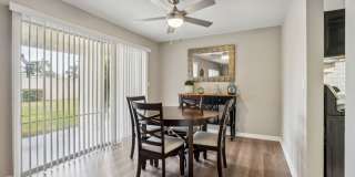 Buena Vista Gallery 41