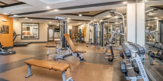 RIZE at Winter Springs Gallery 7