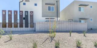 Brioso at the Bridges Gallery 67