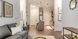 Village of Rowlett Gallery 13