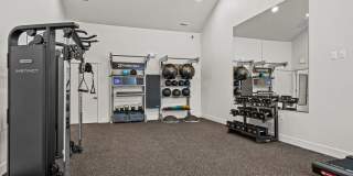 Fir Grove Gallery 21