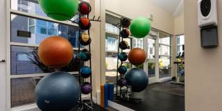 SOMA at 788 Gallery 26