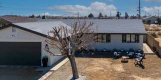 7648 Jimson Avenue Gallery 38