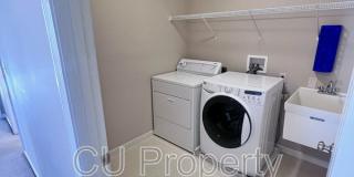 14 Parsley - 1 Gallery 15