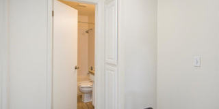 Sugar Pine Gallery 20