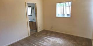 24214t Gallery 16