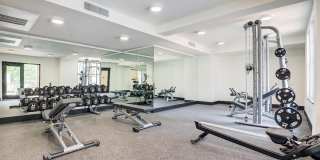 Renaissance Square Gallery 31