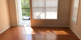 Beautiful 1-Bedroom Apartment for Rent in Mosaic at Millenia Gallery 11