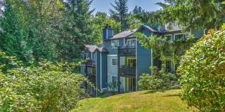 Lakemont Orchard Gallery 6