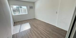 15925 Victory Blvd. Gallery 20