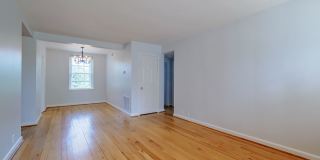 Sunny & Renovated 2BR 1BA in NW DC McLean Gardens Oasis! Gallery 9