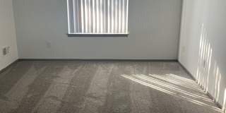 The BEDFORD Gallery 15