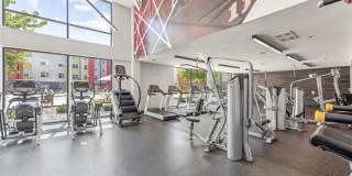 Terra at University North Park Gallery 17