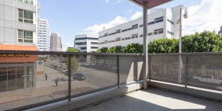 Sakura Crossing Gallery 31