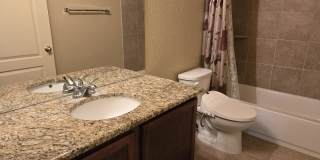 2738 Cinnamon Teal Gallery 16