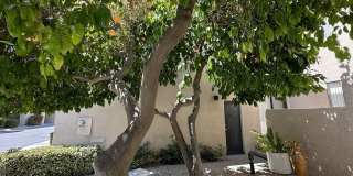 882 Village Sq Gallery 5