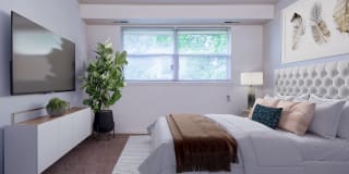 Middle Branch Gallery 1