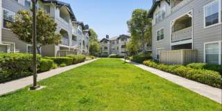 The Presidio Apartments Gallery 47