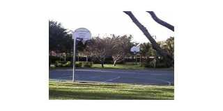 686 Lone Pine Lane Gallery 23