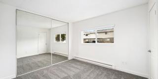 Driftwood Gallery 43