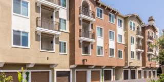 Valentia by Windsor Gallery 8