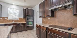 2527 Villa Borghese Gallery 11