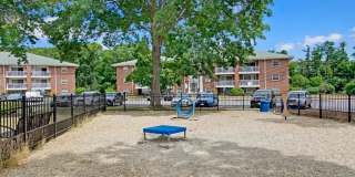 ReNew Waltham Gallery 21