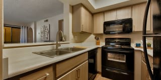 Avana at the Pointe Avana at the Pointe Gallery 1