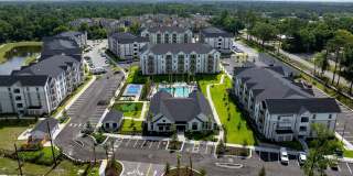 Palmhouse Gallery 13