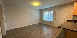 Penthouse Gallery 14