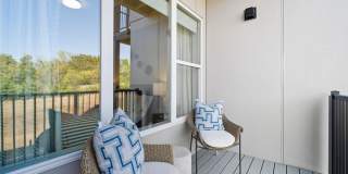 The Galaxy at Polaris Gallery 110