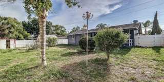 408 LAKE NED Gallery 23