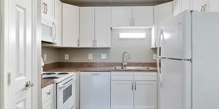 Pepperstone Gallery 7