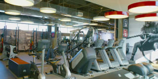 The Marke Gallery 15