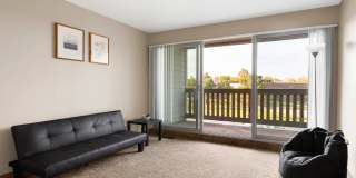 Large 1 & 2 Bedrooms available, PET FRIENDLY! Gallery 94