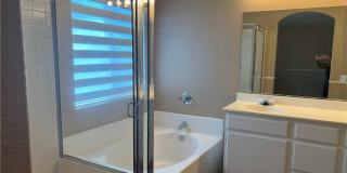 15177 Dandelion Gallery 21