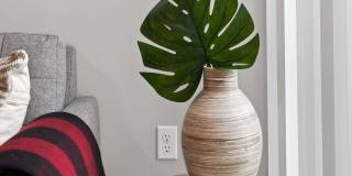 Iron Flats Gallery 1