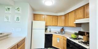 Ashmore Trace Apartments of Greenwood Gallery 1