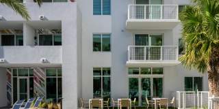 Tortoise One Gallery 34