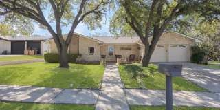 6114 Forest Wood Gallery 1