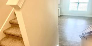 242 ORCHARD Lane Gallery 24