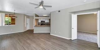 Reflections at Gila Springs Gallery 20