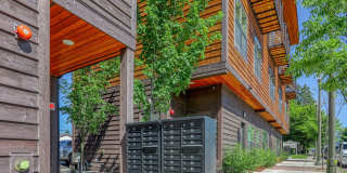 Hamilton and Eliza Gallery 7