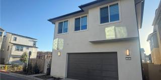 301 Shoveler Gallery 3