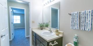 Adriana Court Gallery 4