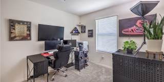 6816 Citron Mist Court Gallery 25