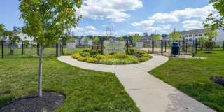 7364 MOCKINGBIRD CIR Gallery 77